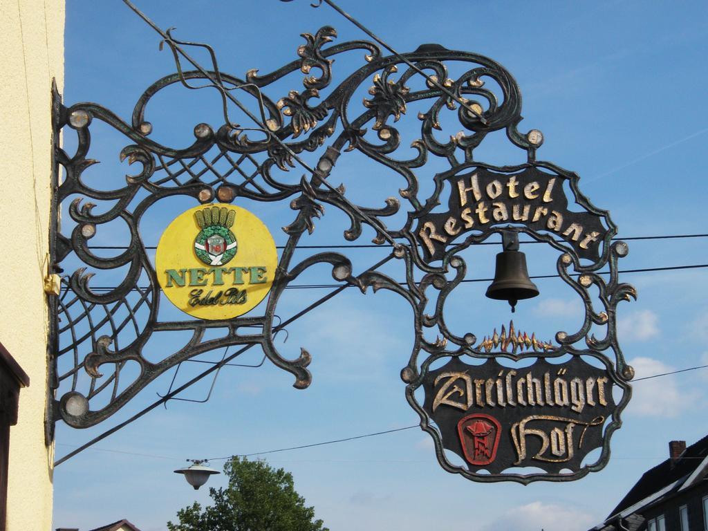 Hotel Dreischlaeger Hof Neustadt  Zewnętrze zdjęcie